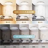 worbest LEDシーリングライト 35W 45W 50W 3500lm 8-12畳 調色/調光タイプ 昼光色 電球色 リモコン付き 玄関 寝室 和室 台所